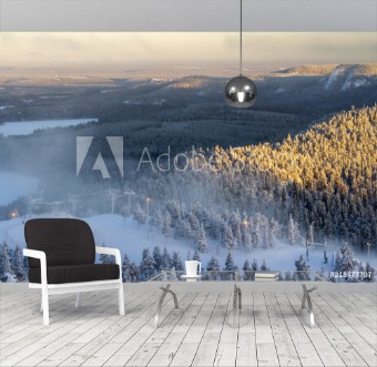 Picture of Beautiful winter view in the early morning Finland Ruka